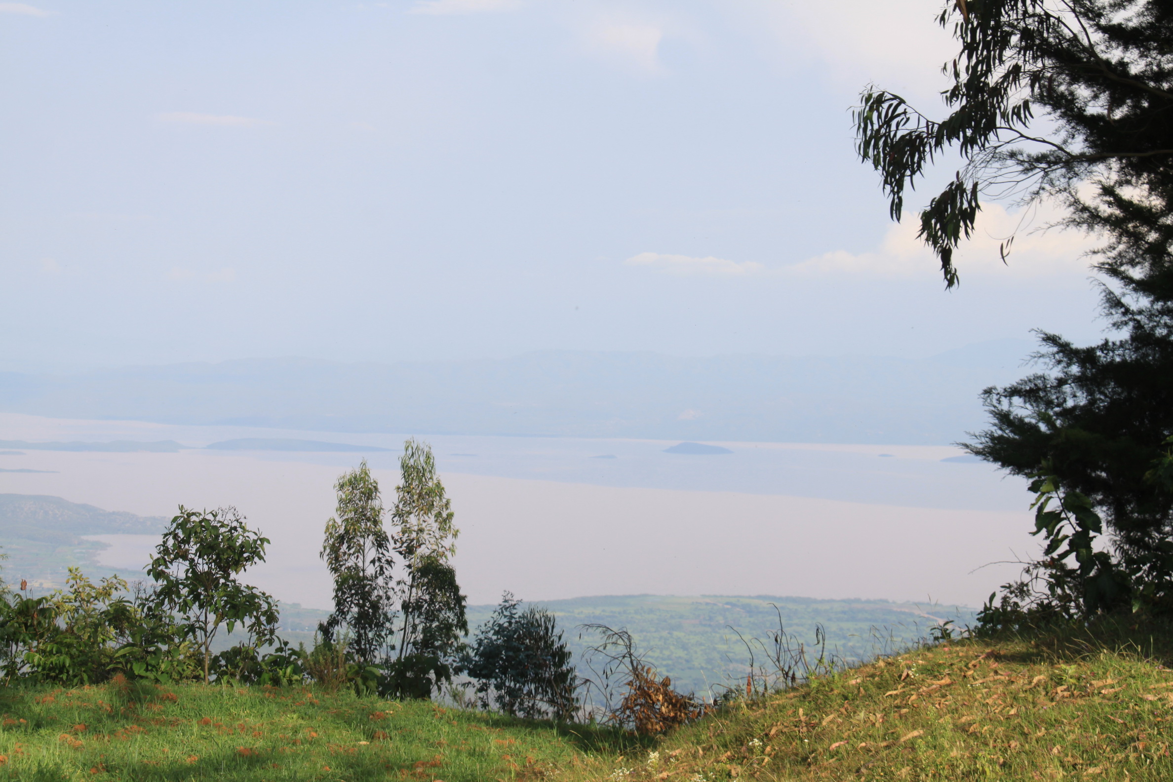 Aeth_2018_Tag17_0093