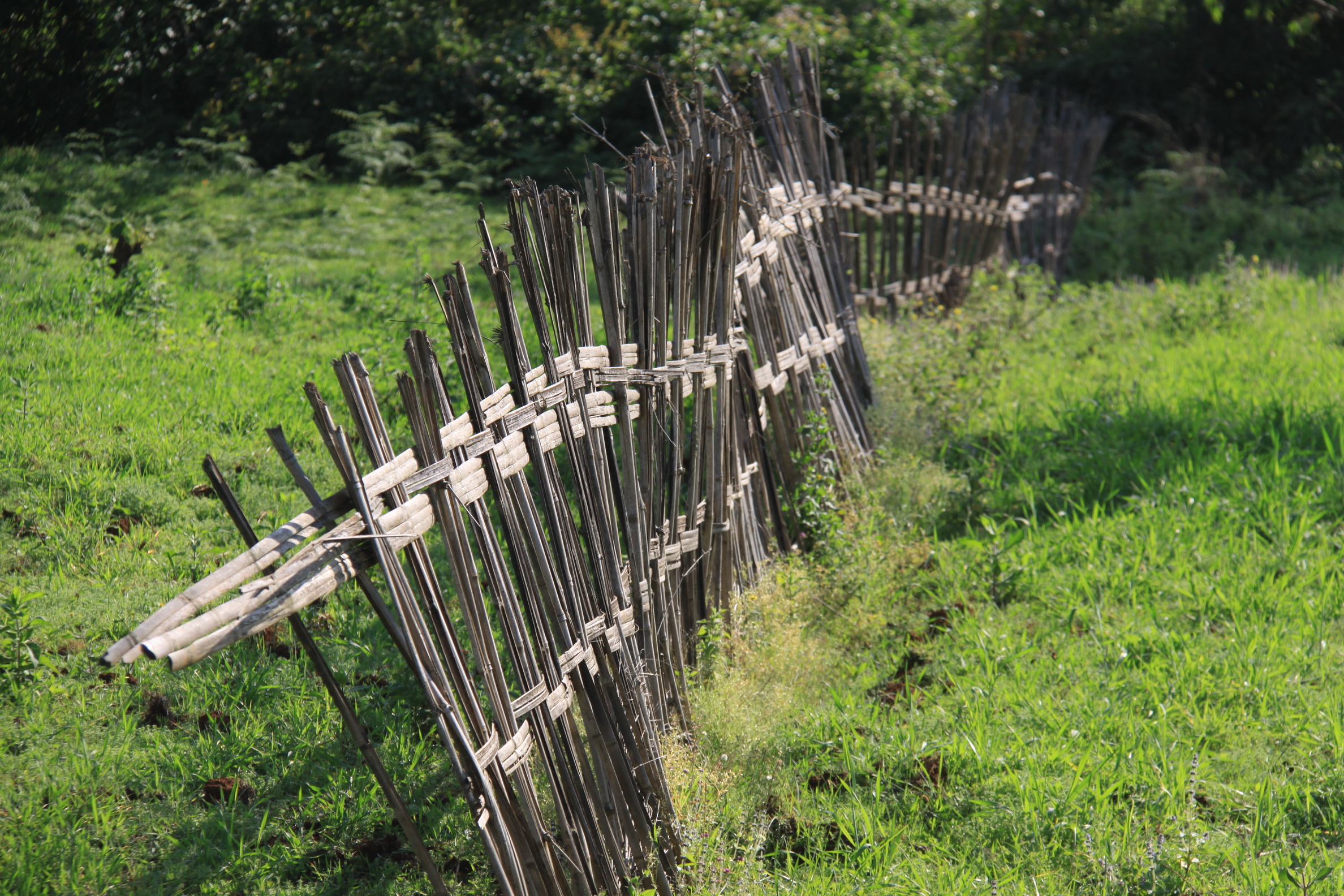 Aeth_2018_Tag17_0096