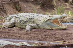 Aeth_2018_Tag17_0028