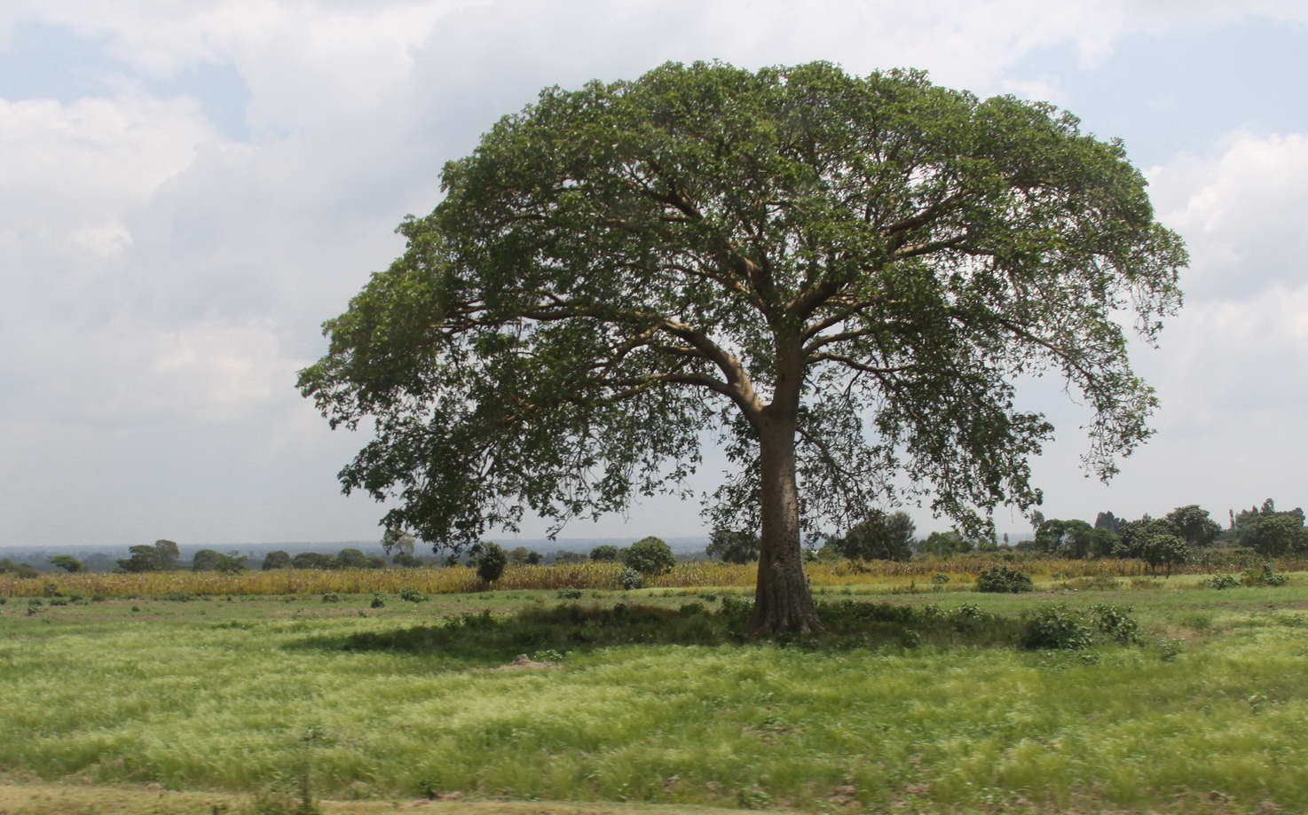 Aeth_2018_Tag18_0001