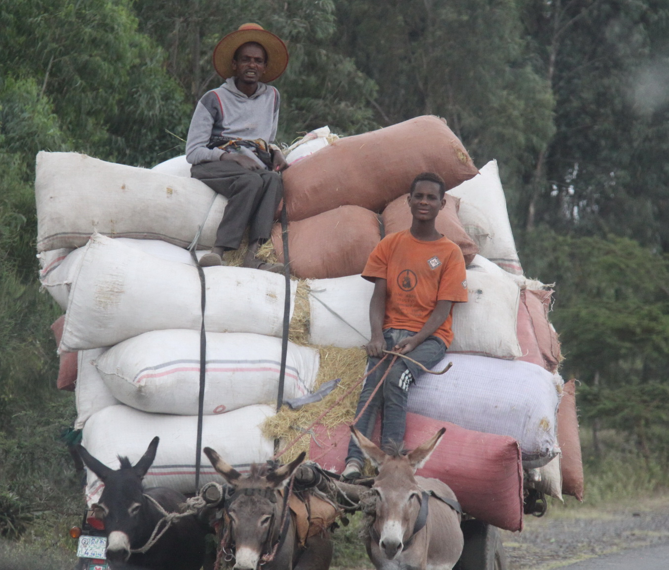 Aeth_2018_Tag18_0011