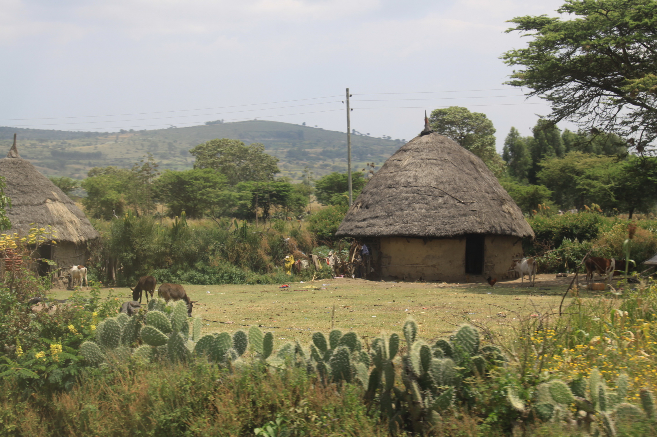 Aeth_2018_Tag18_0026