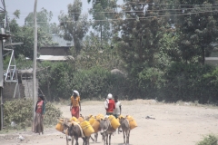 Aeth_2018_Tag18_0008