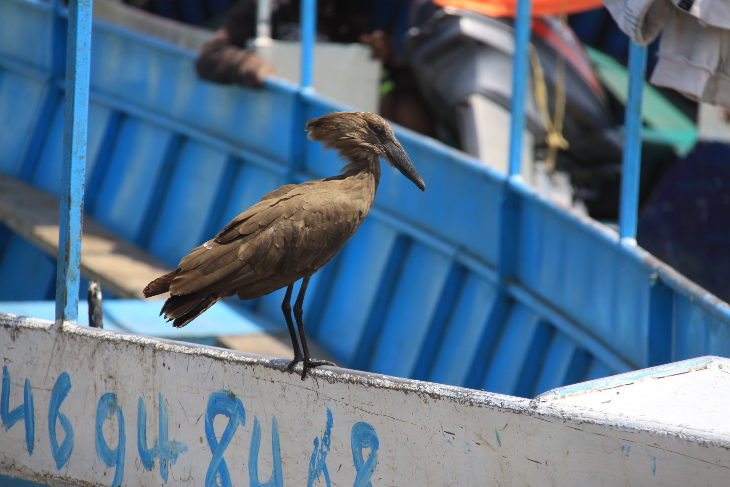 Aeth_2018_Tag19_0033