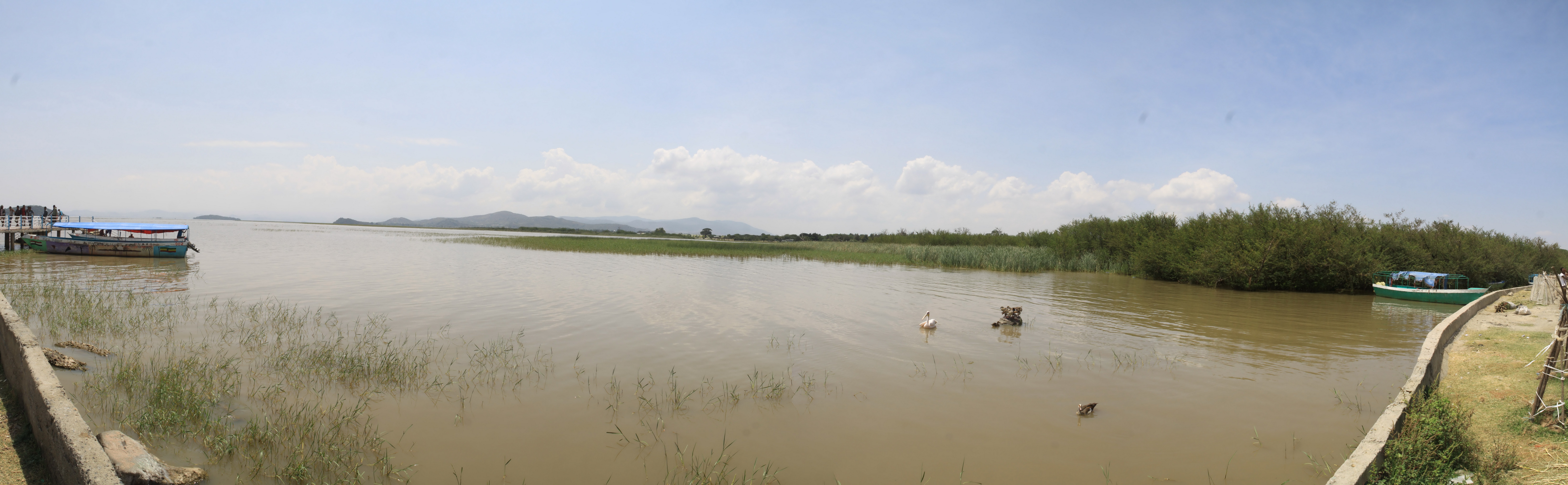 Aeth_2018_Tag19_P_0002