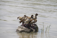 Aeth_2018_Tag19_0043