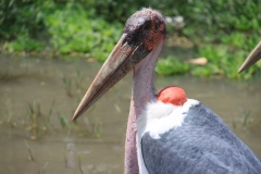 Aeth_2018_Tag19_0045