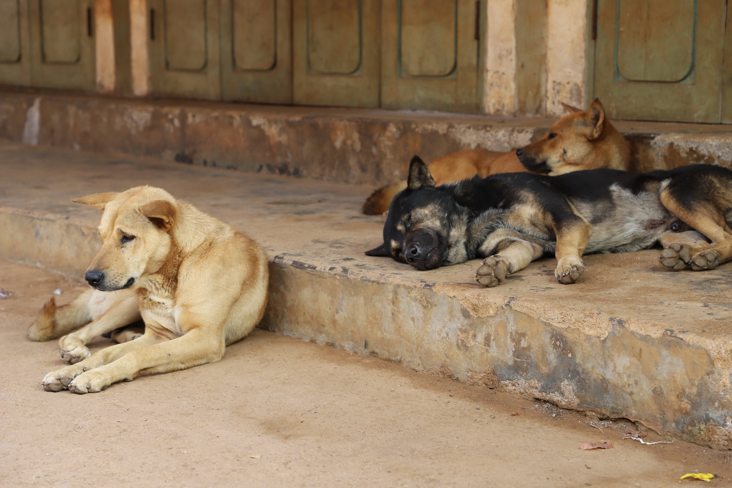 MMR_Tag02_20191104_007