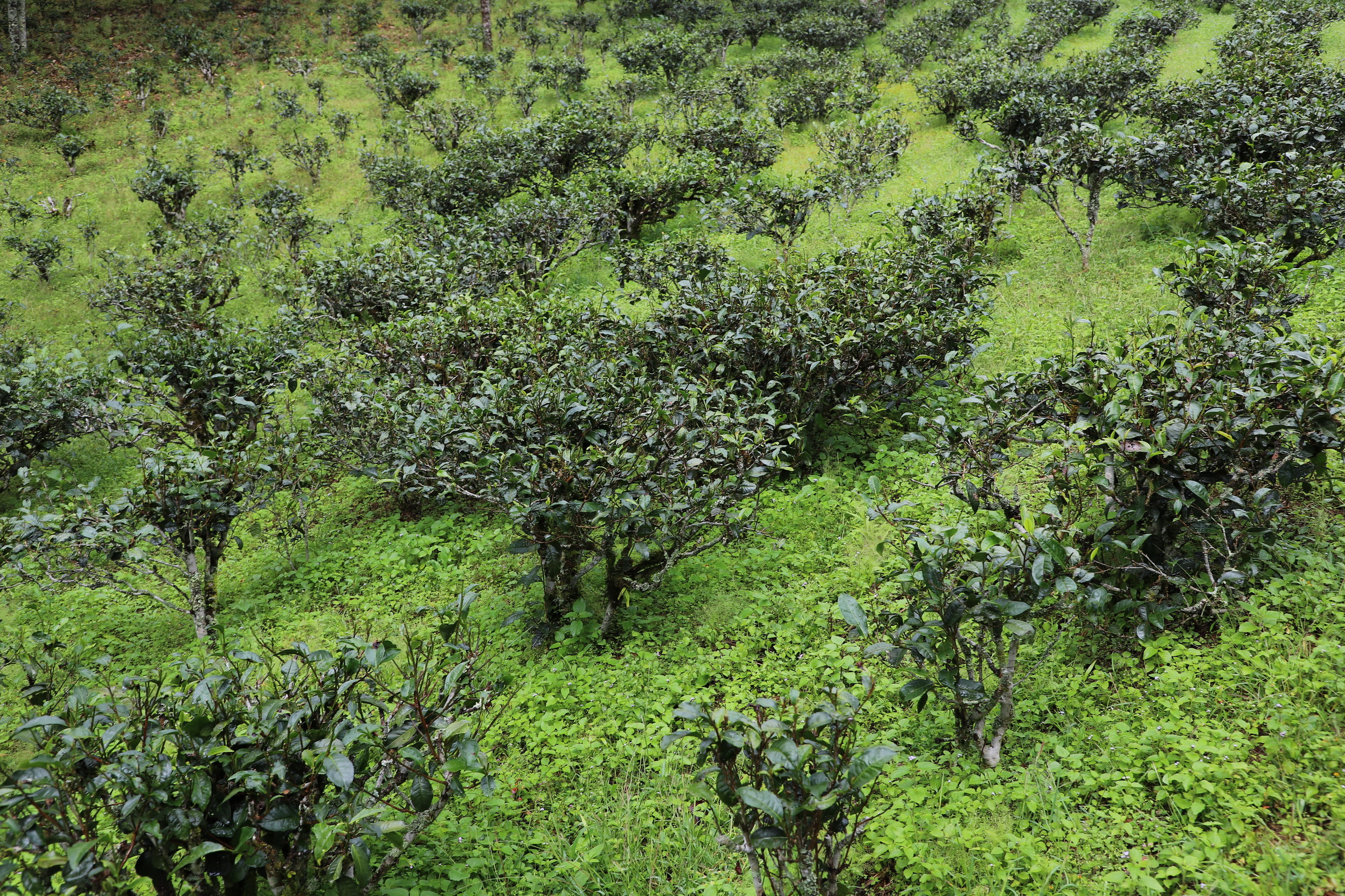 MMR_Tag03_20191105_023