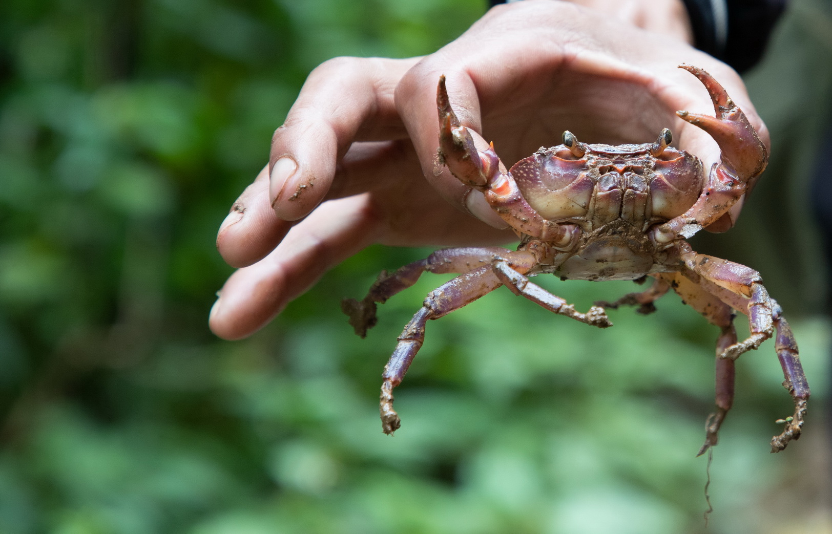 MMR_Tag03_20191105_045