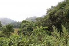 MMR_Tag03_20191105_038