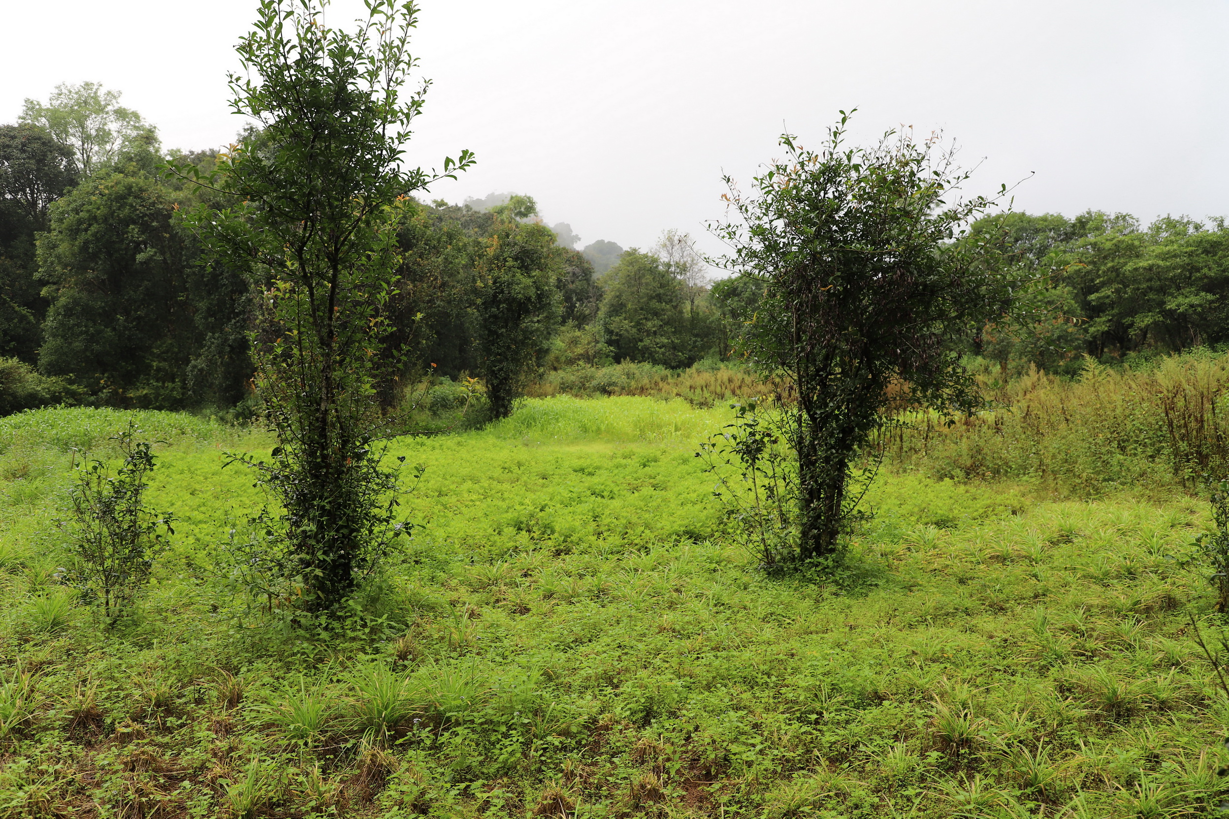 MMR_Tag04_20191106_010