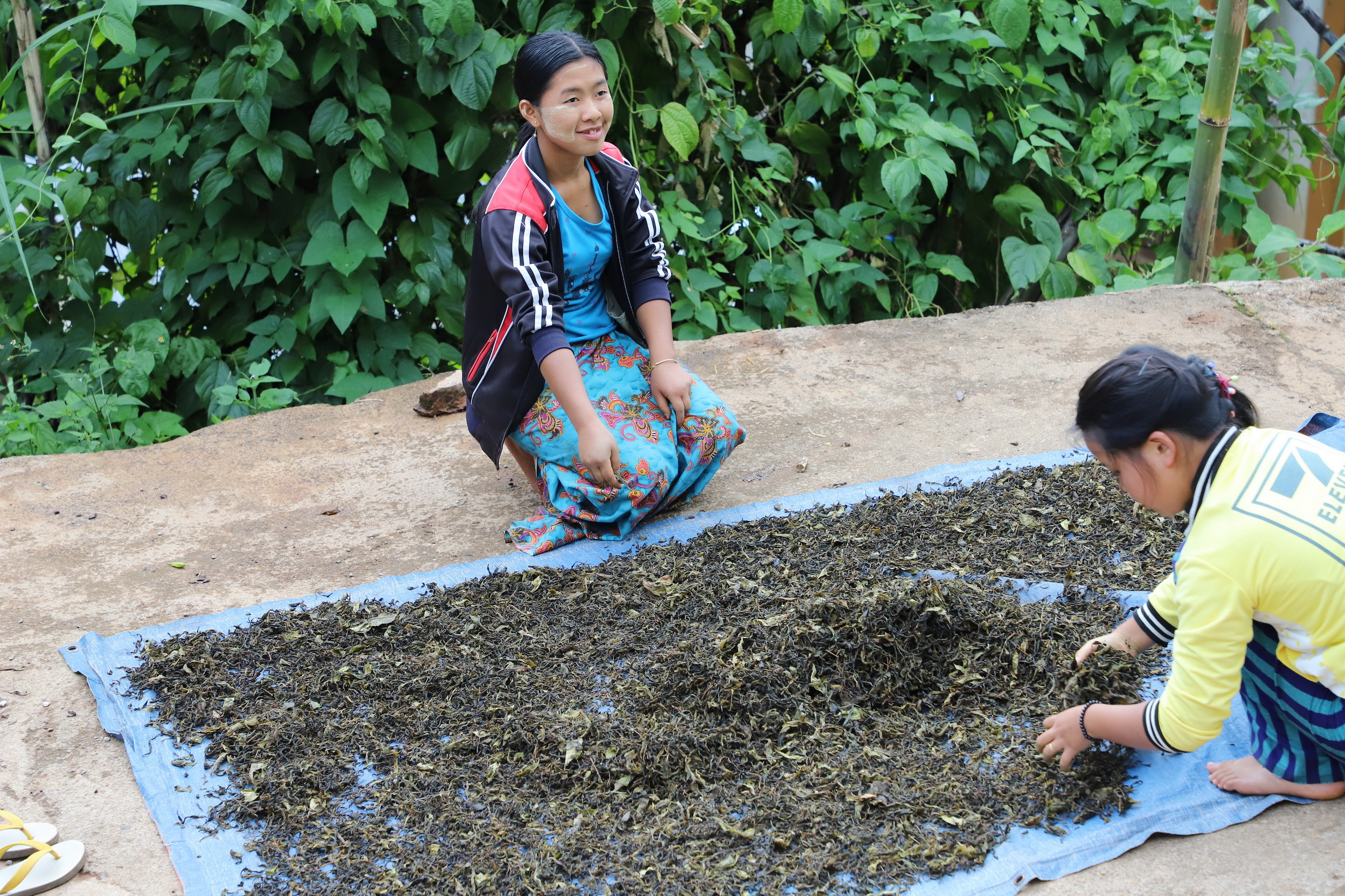 MMR_Tag04_20191106_038