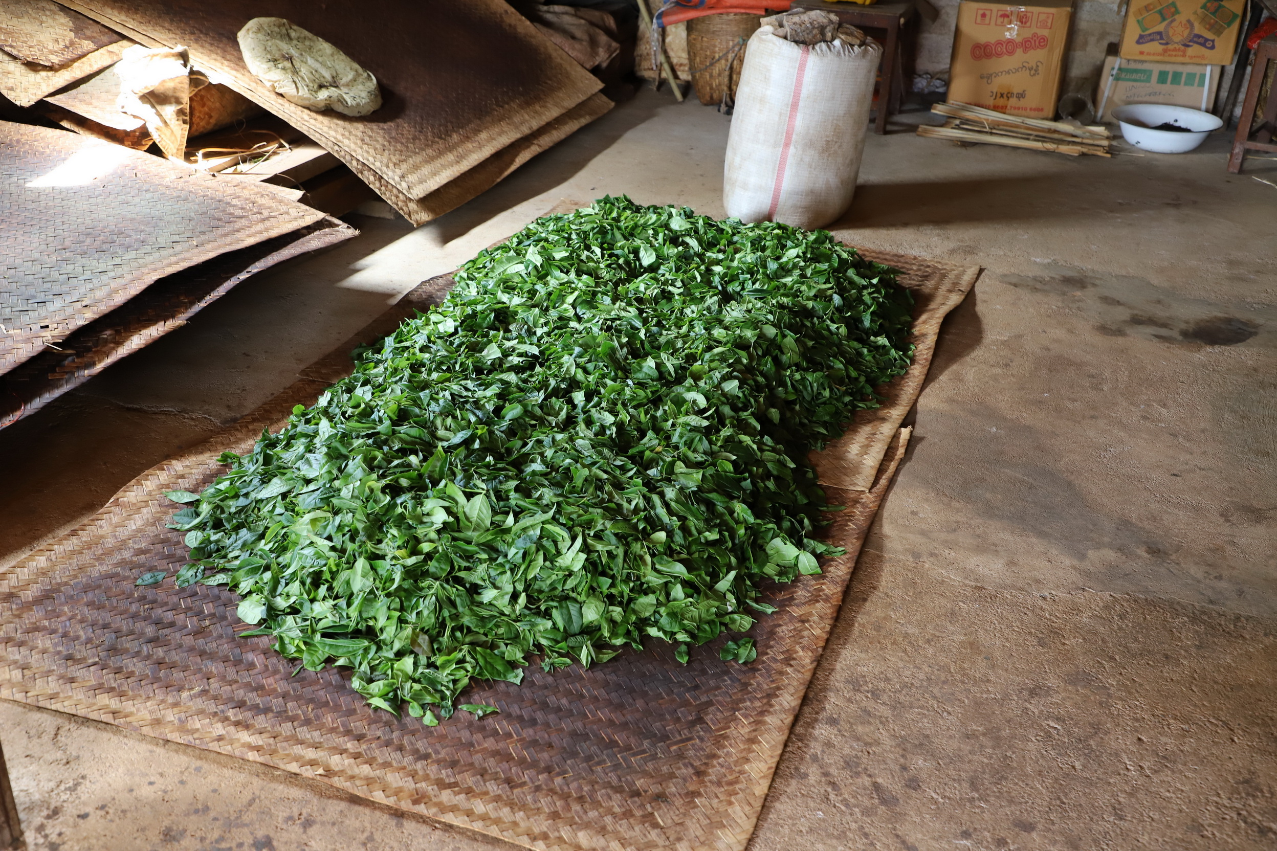 MMR_Tag04_20191106_044