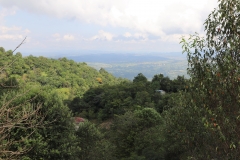 MMR_Tag04_20191106_045