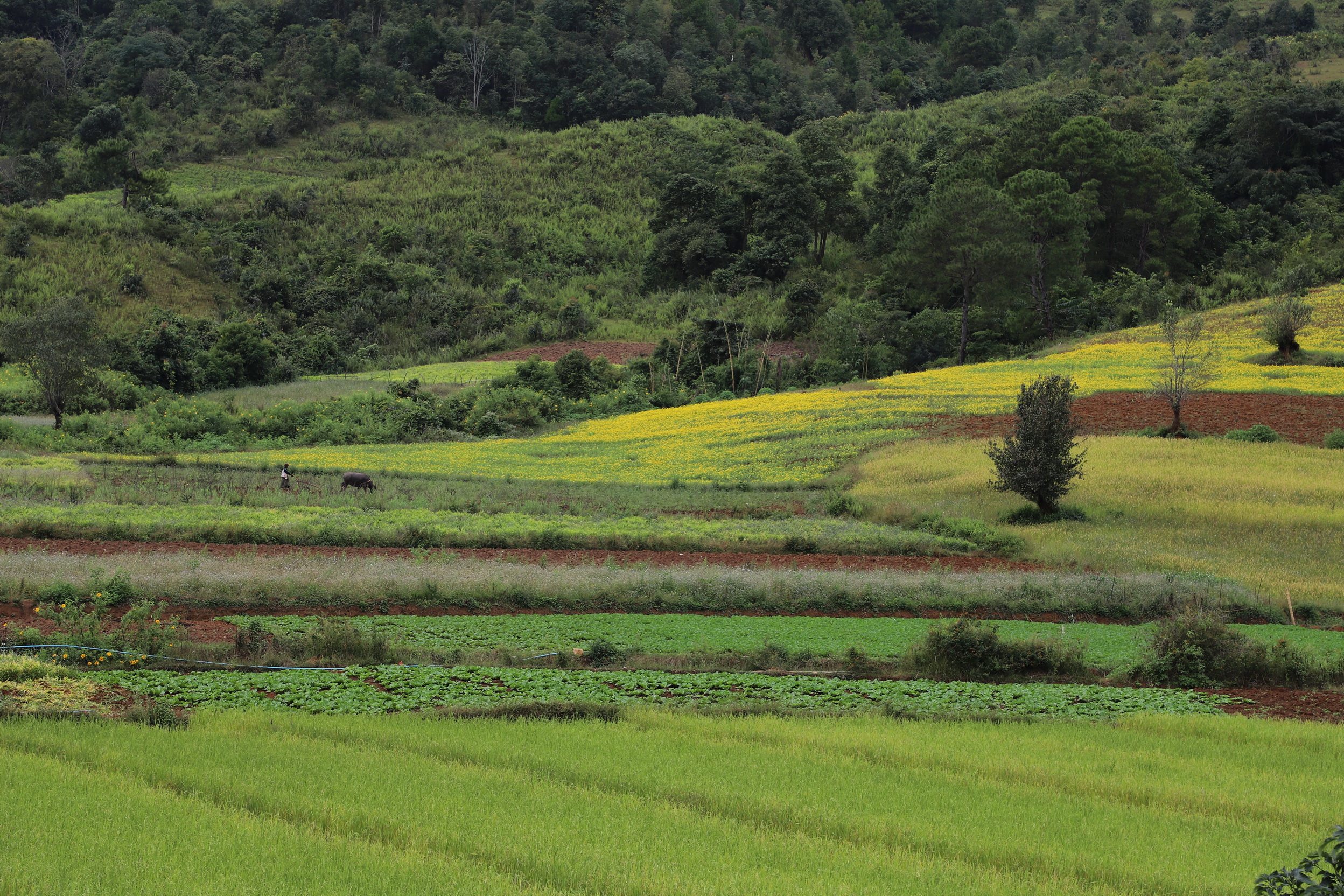 MMR_Tag06_20191108_045