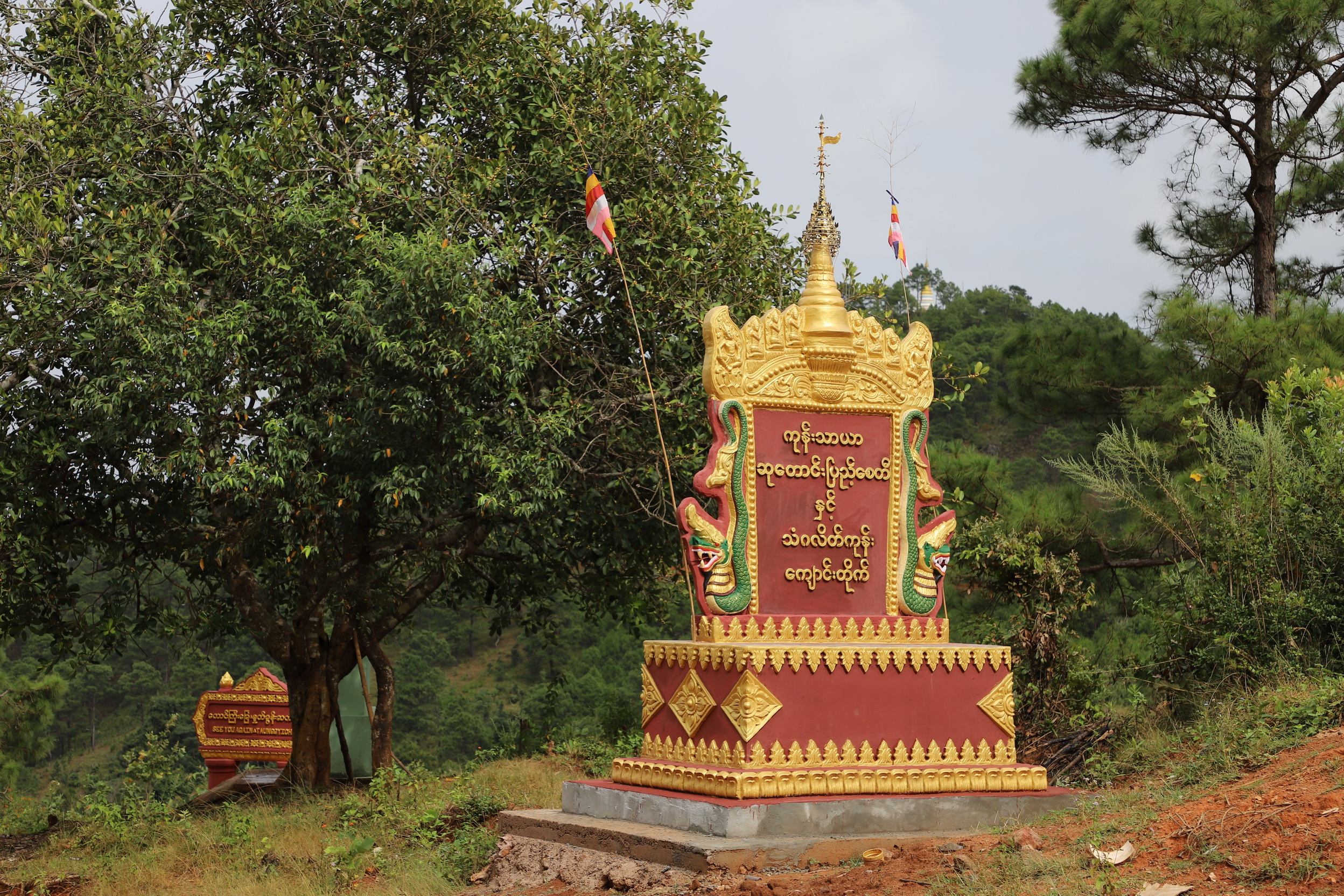 MMR_Tag06_20191108_052