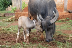 MMR_Tag06_20191108_035