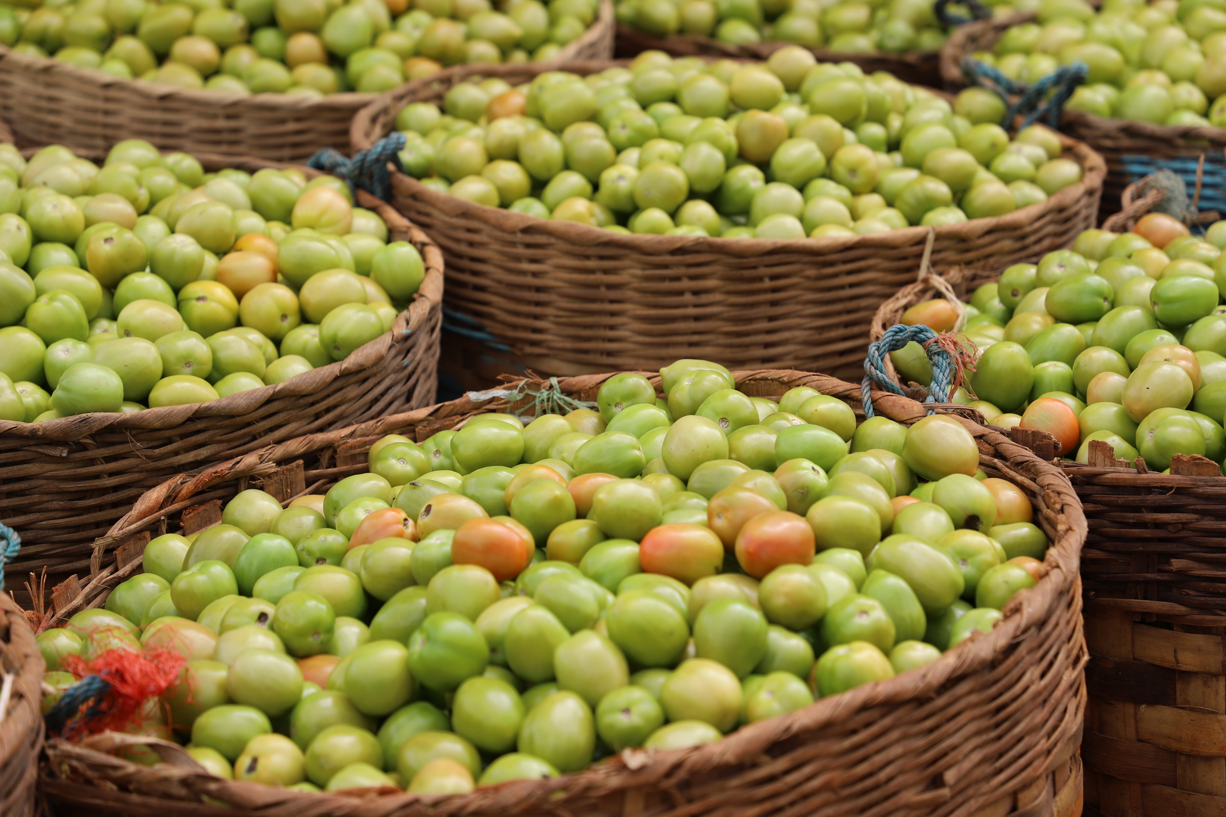 MMR_Tag07_20191109_031