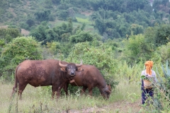 MMR_Tag07_20191109_067