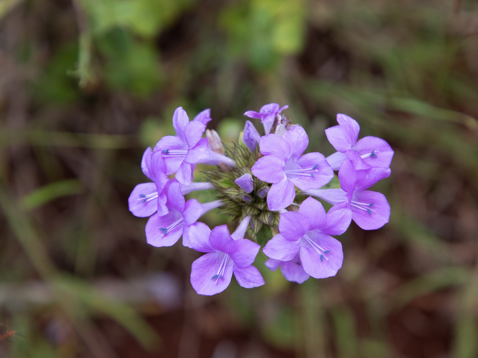 MMR_Tag08_20191110_029