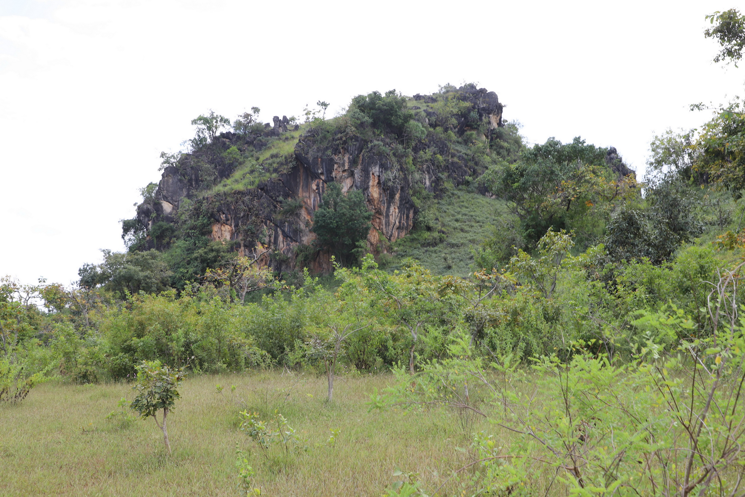 MMR_Tag08_20191110_030