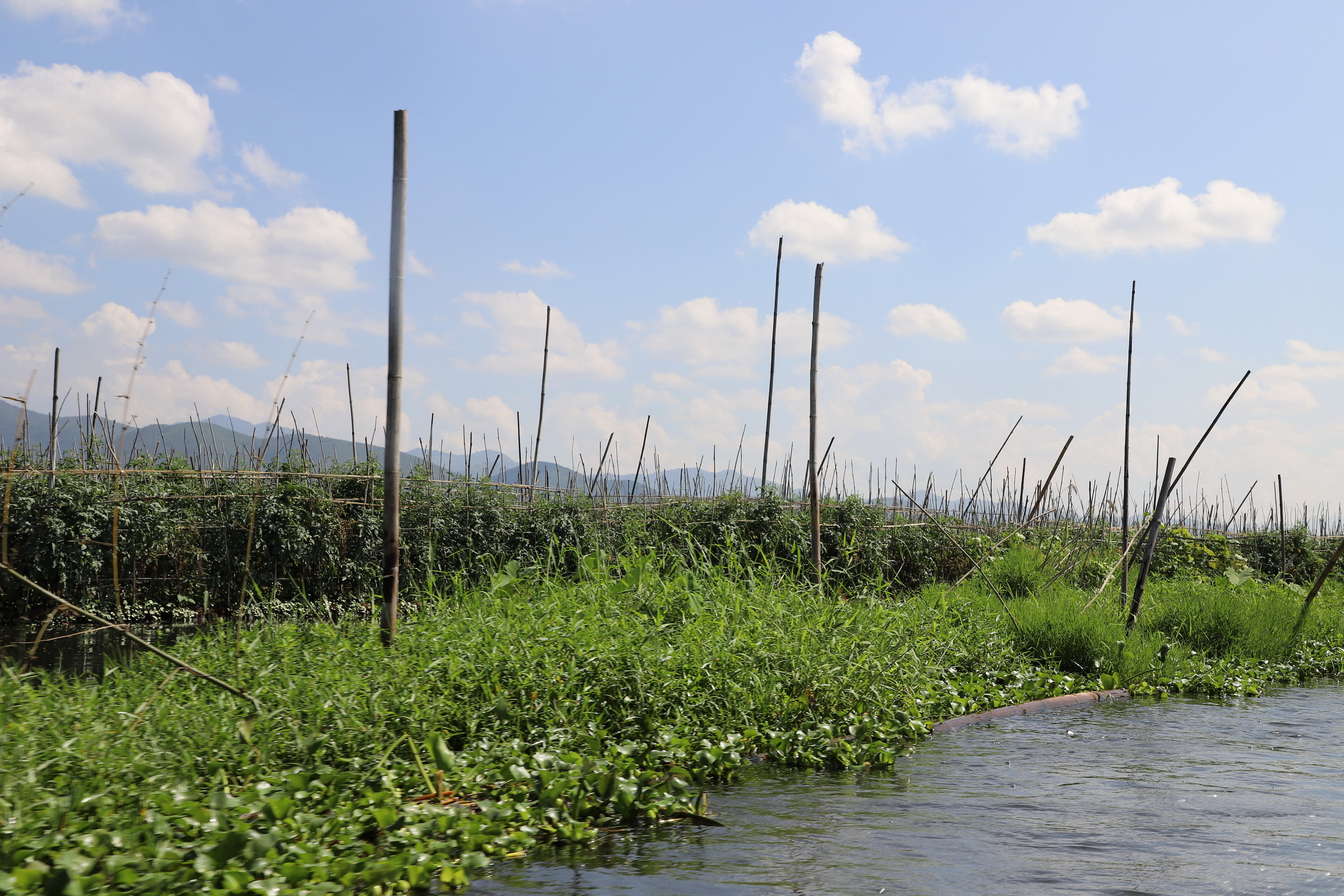 MMR_Tag09_20191111_057