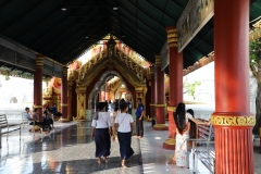 MMR_Tag10_20191112_065