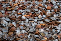 MMR_Tag10_20191112_098