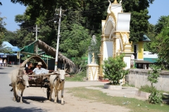 MMR_Tag11_20191113_035