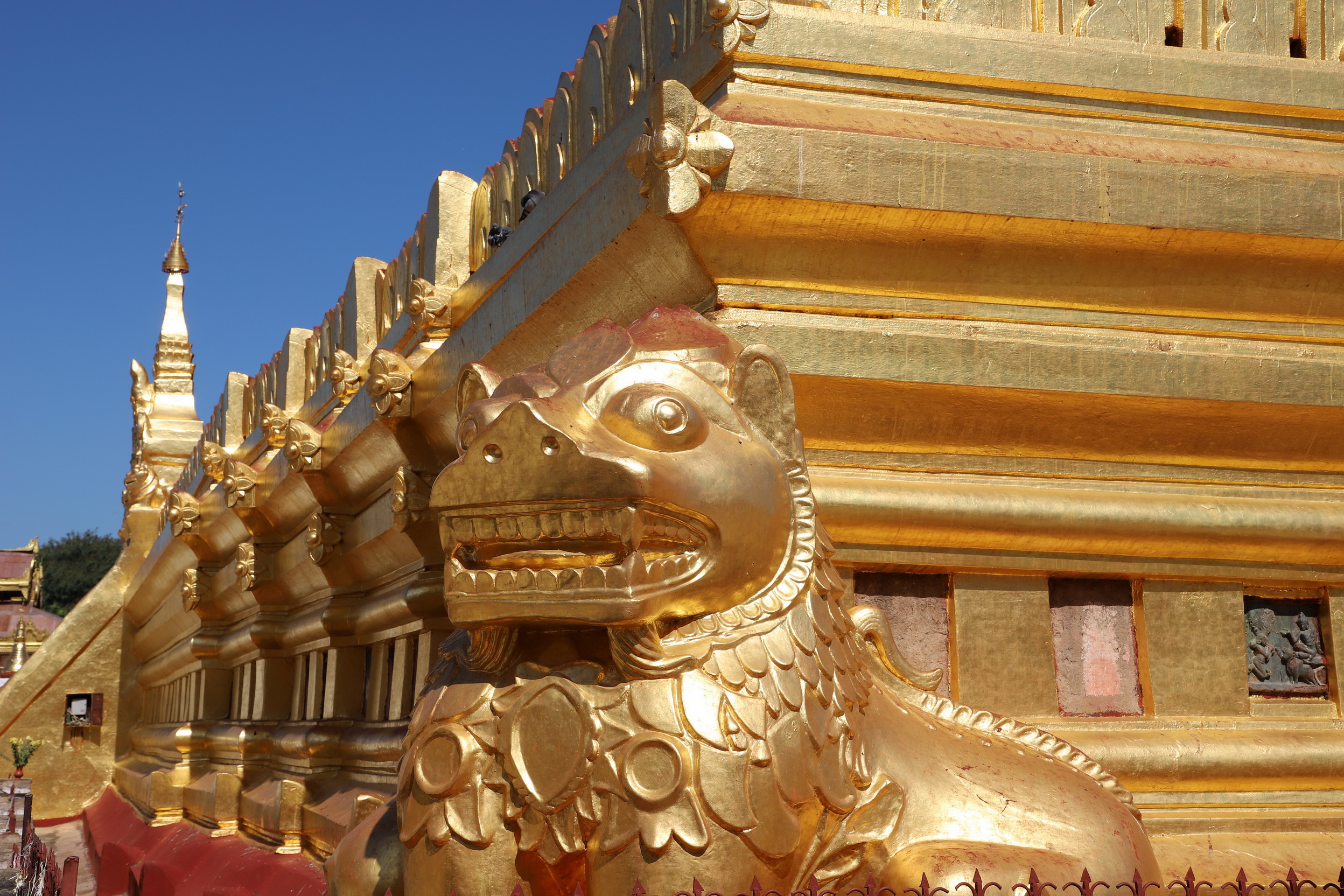 MMR_Tag13_20191115_049