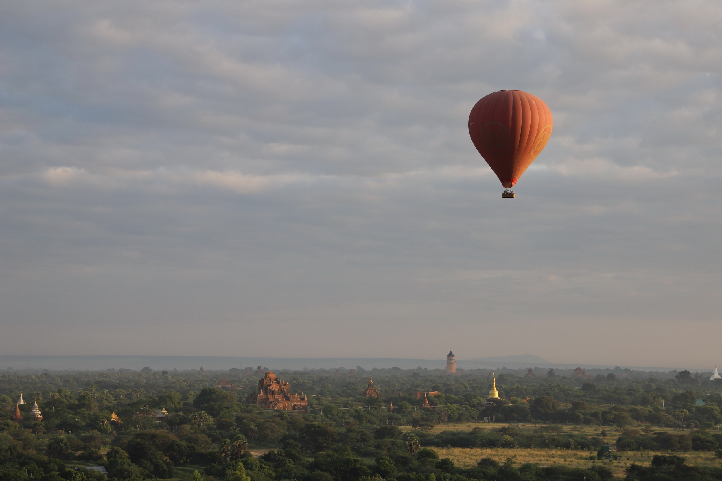 MMR_Tag14_20191116_058