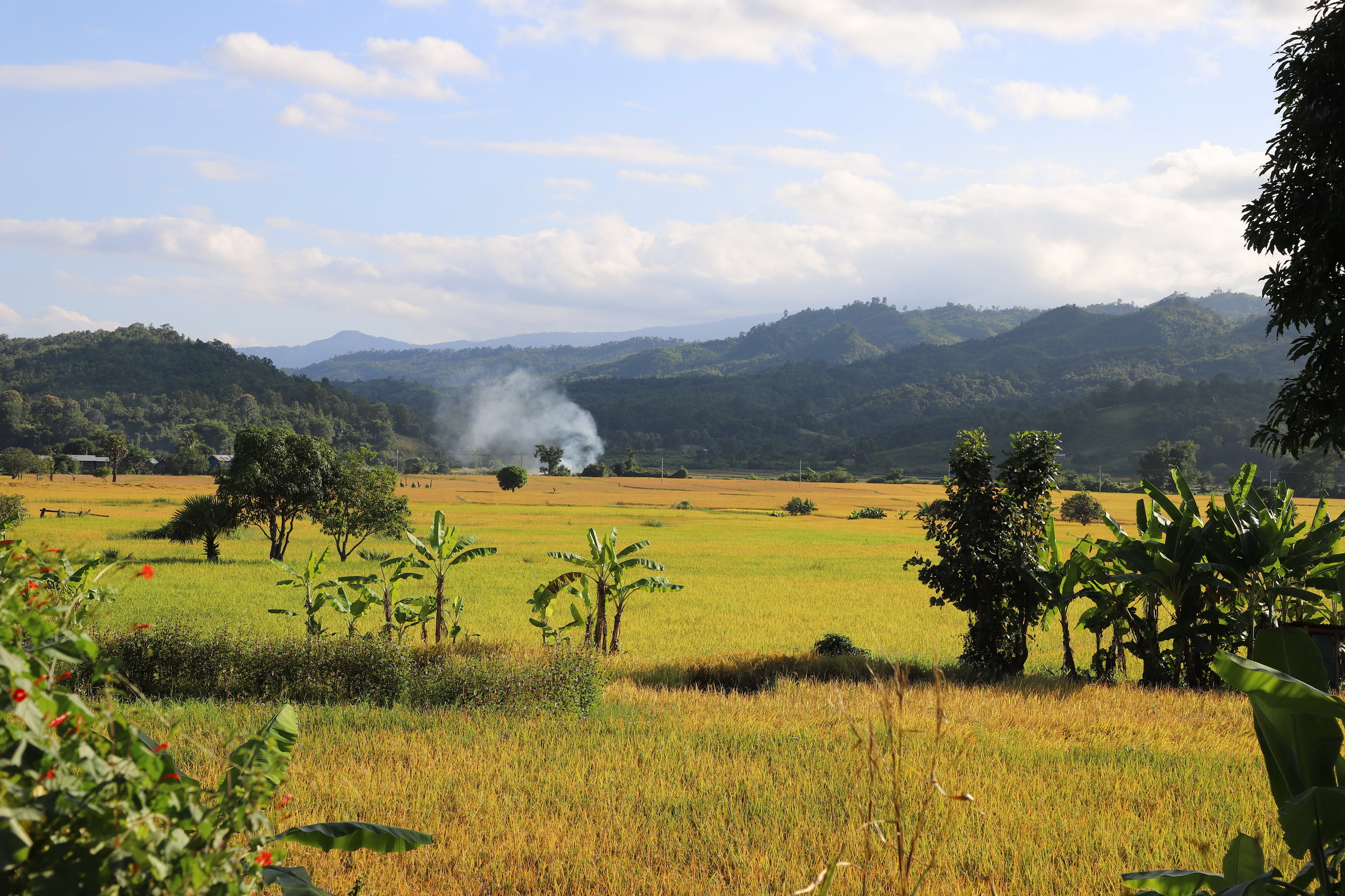 MMR_Tag14_20191116_102