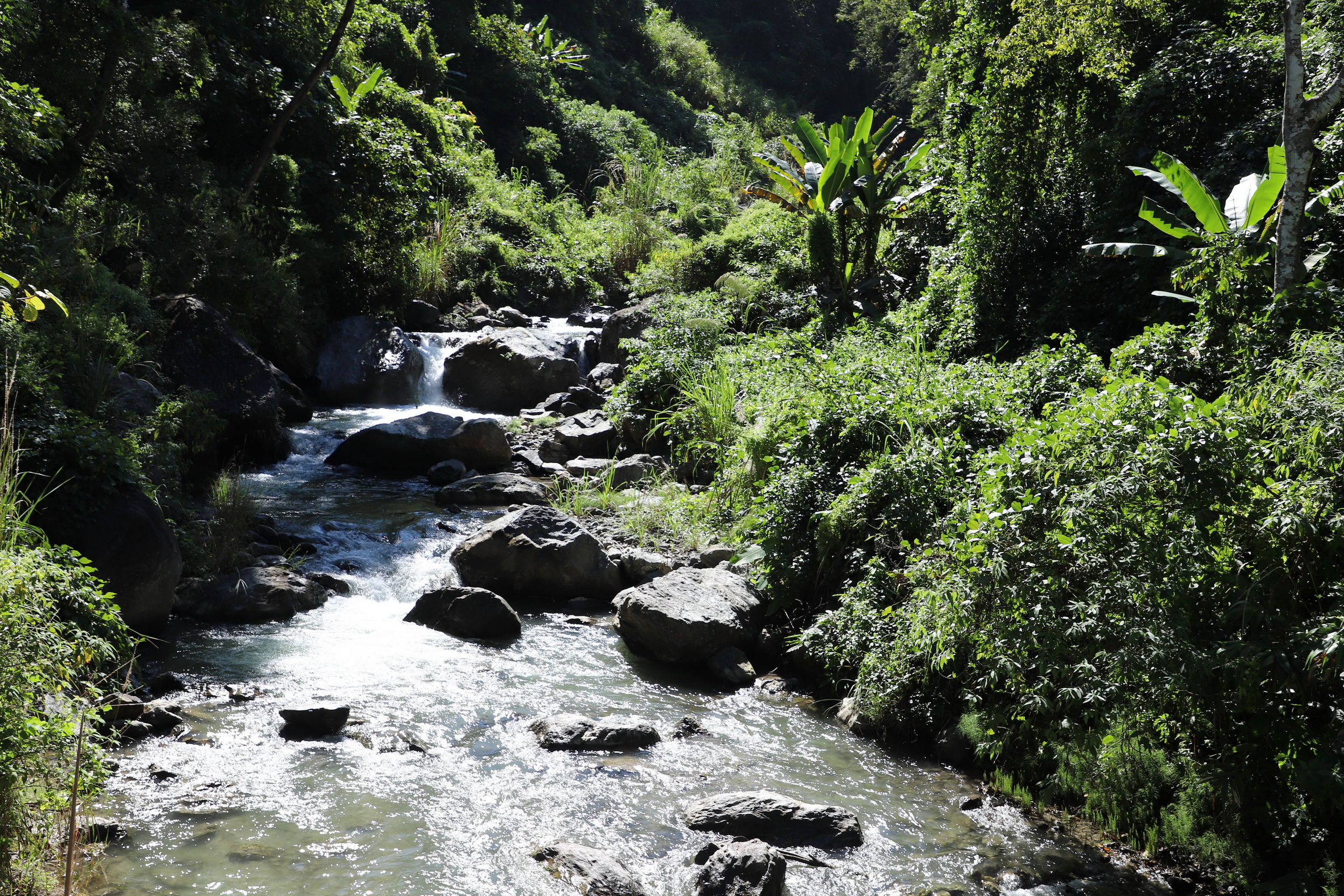 MMR_Tag15_20191117_040