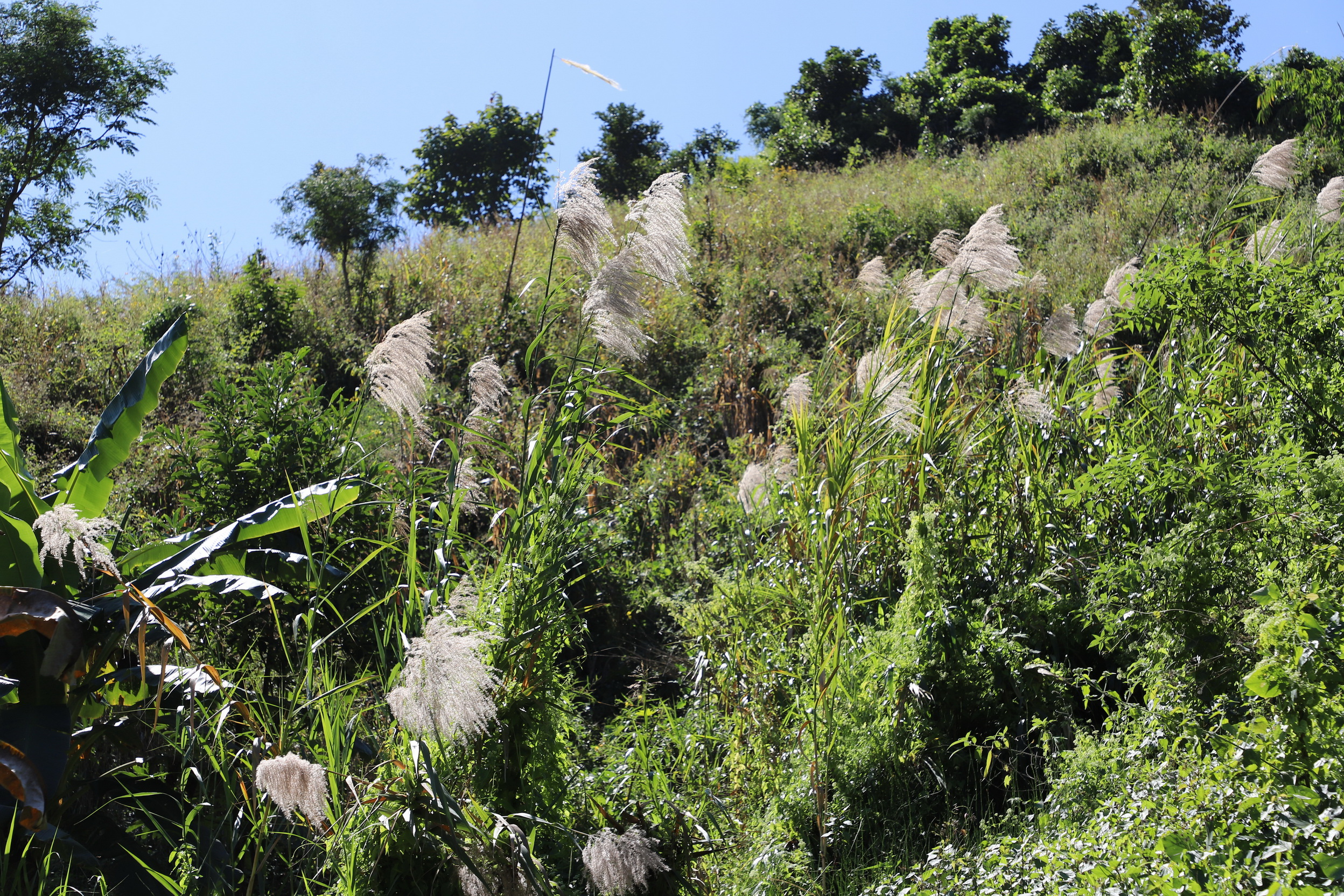 MMR_Tag15_20191117_043