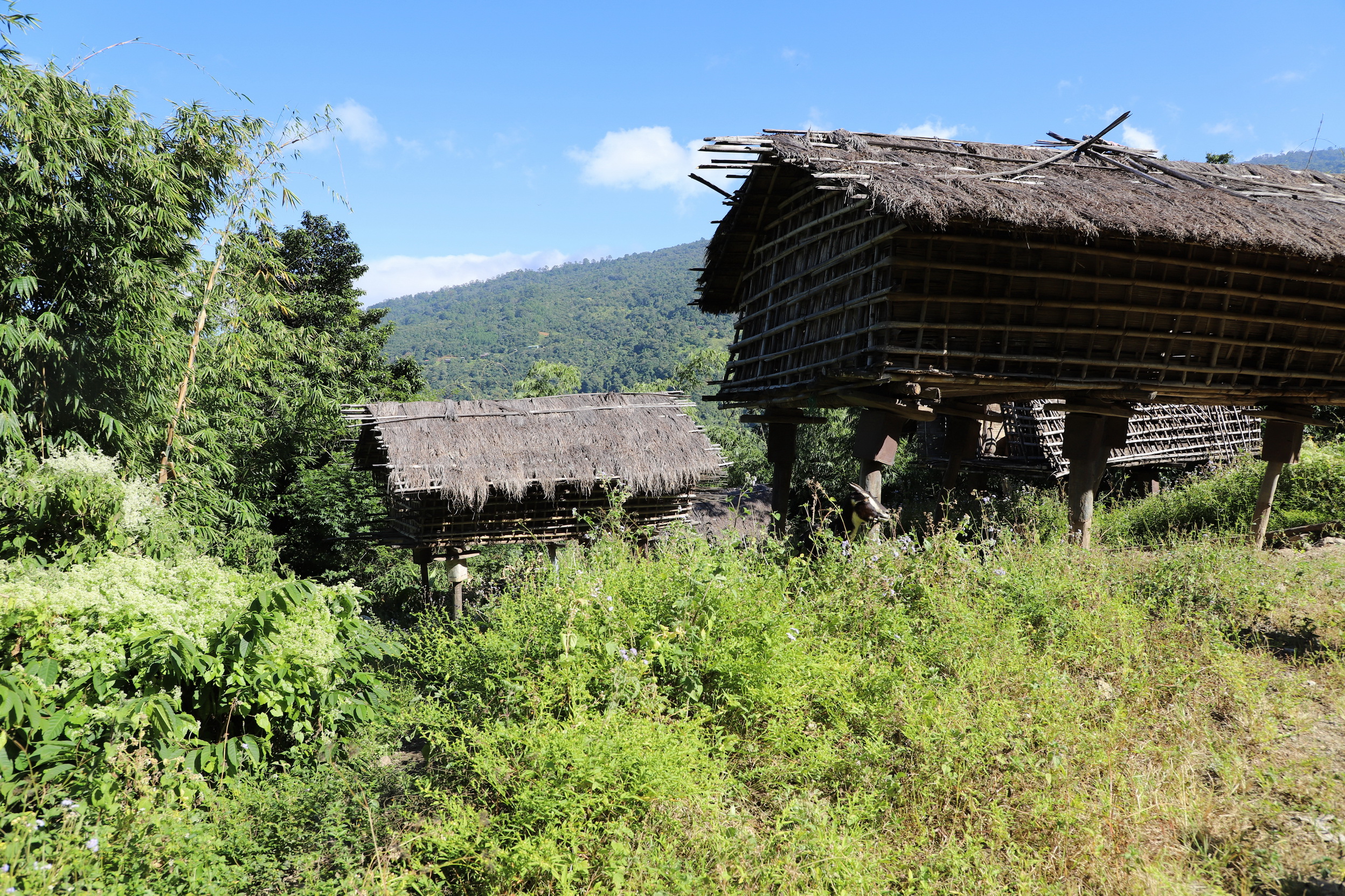 MMR_Tag15_20191117_080