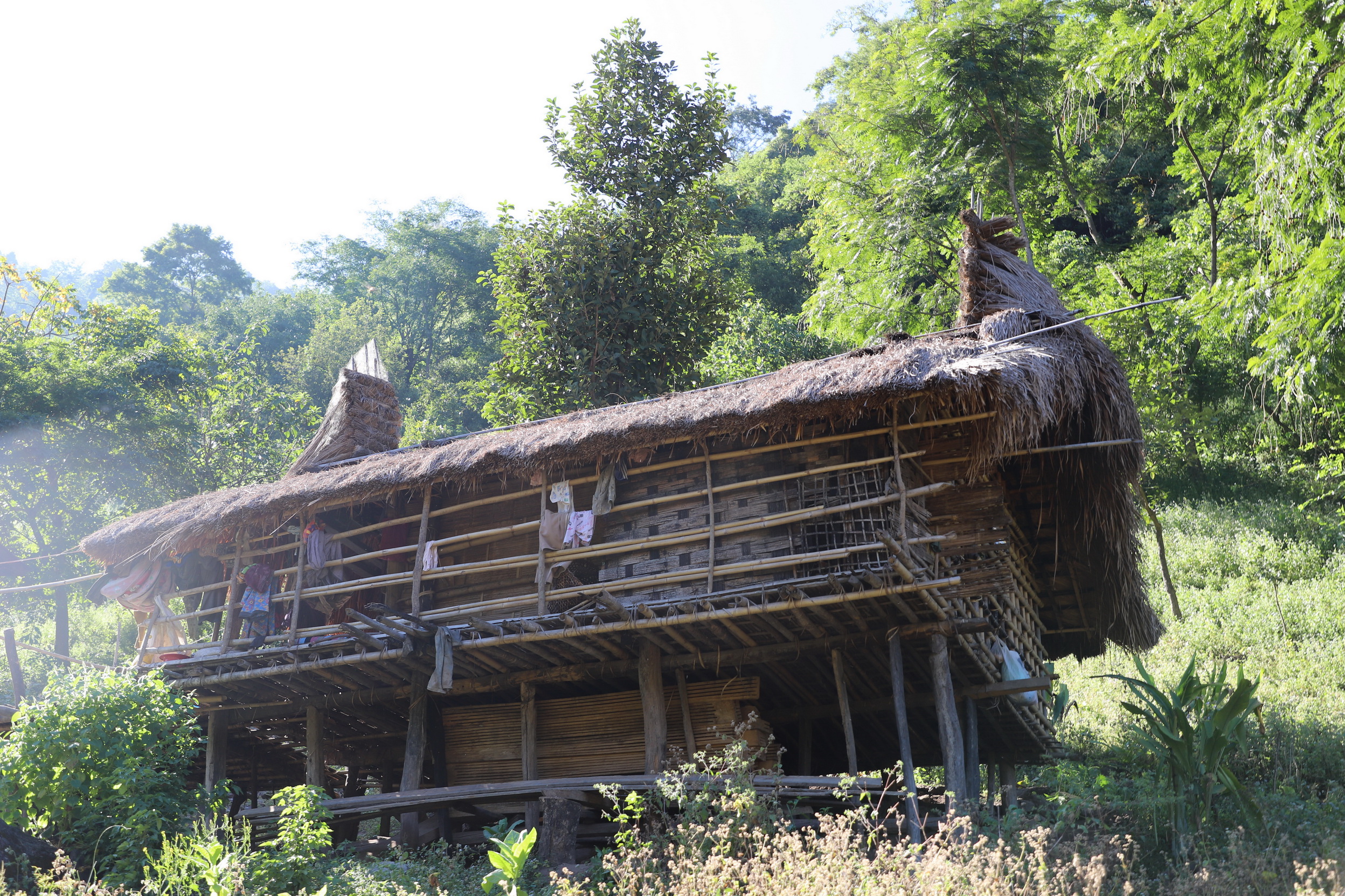 MMR_Tag15_20191117_082