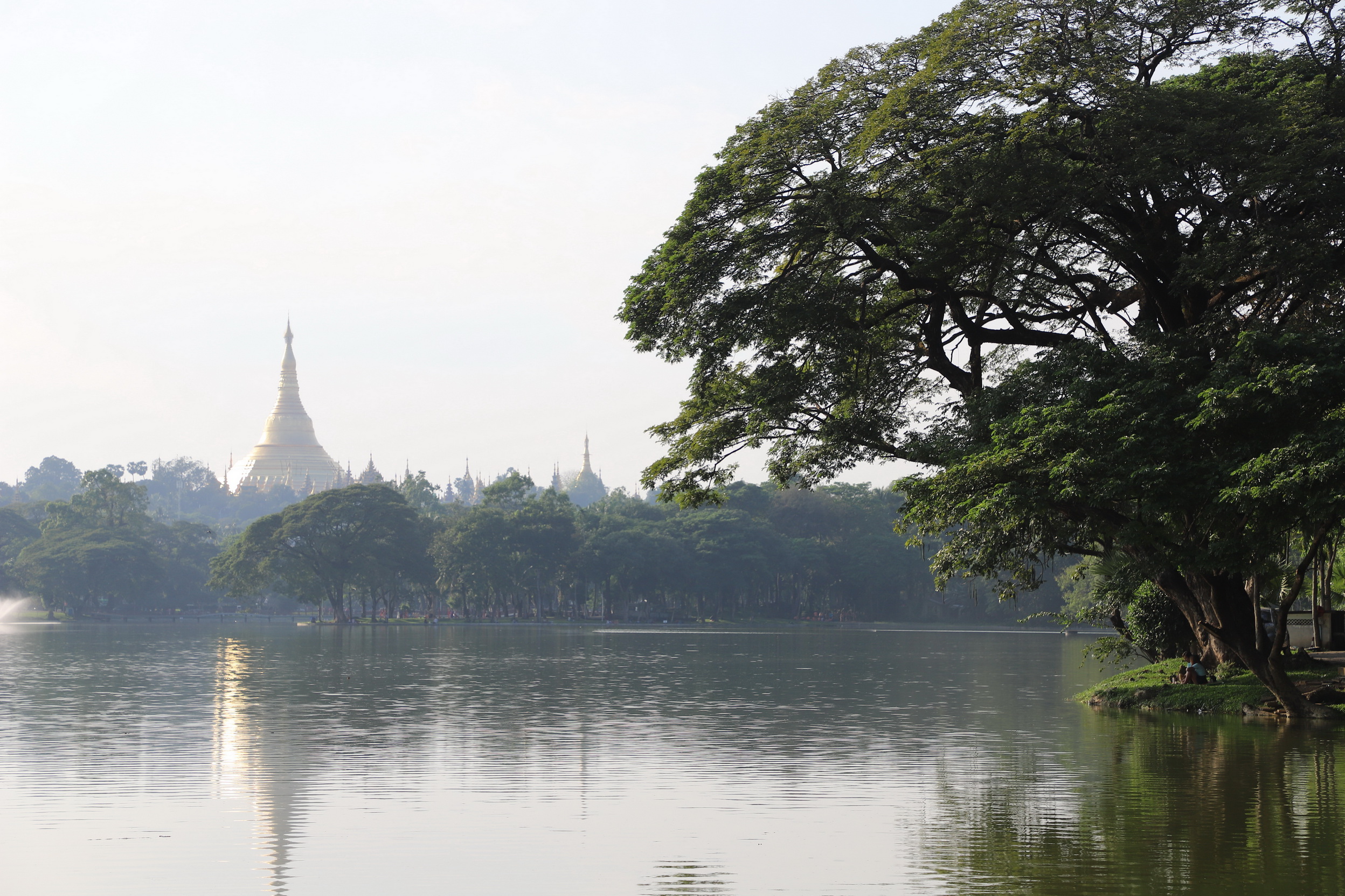 MMR_Tag19_20191121_019